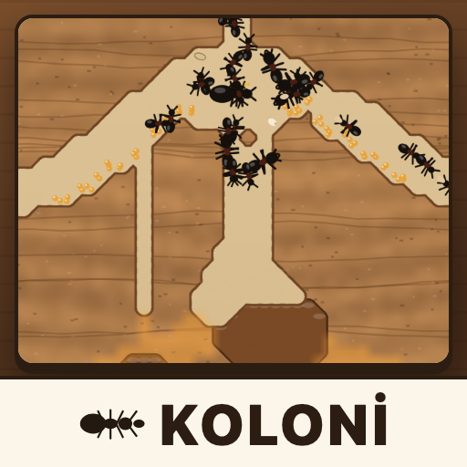 Koloni